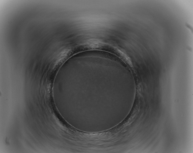 X0000096480018200801311606