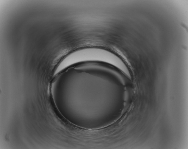 X0000096480019200801311606