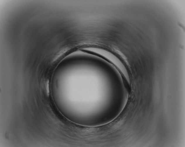 X0000096480020200801311606