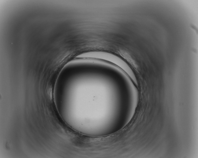 X0000096480021200801311606