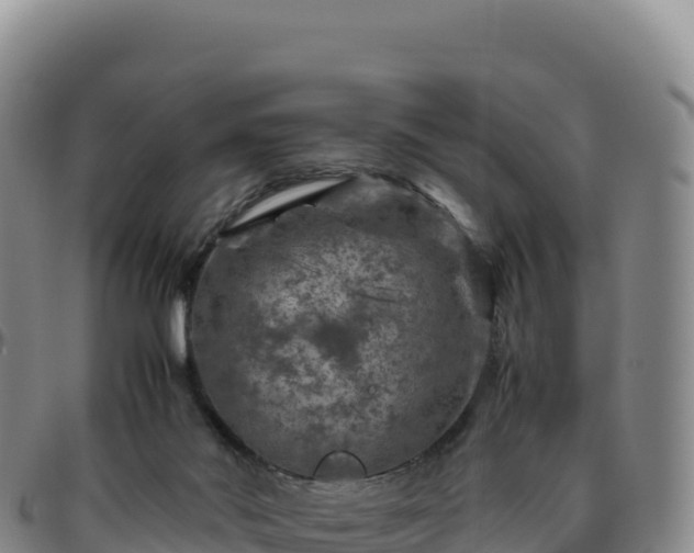 X0000096480022200801311606