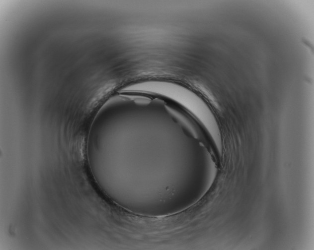 X0000096480023200801311606