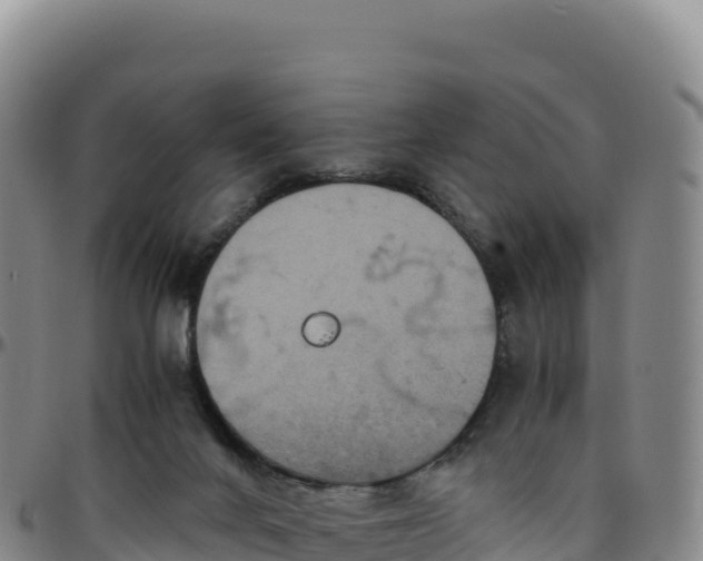 X0000096480024200801311606