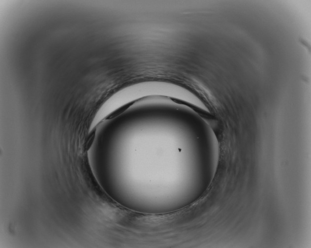 X0000096480025200801311606