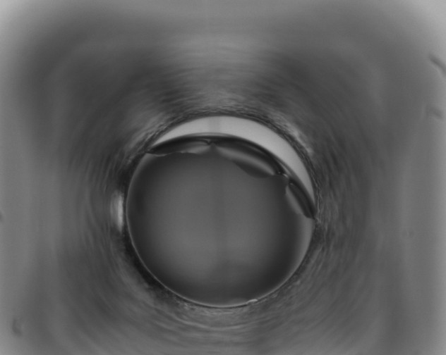 X0000096480027200801311606