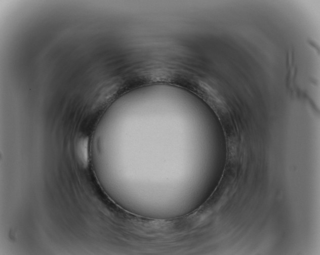 X0000096480028200801311606