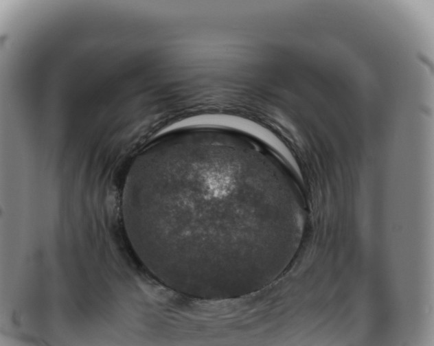 X0000096480029200801311606