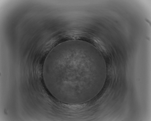 X0000096480030200801311606