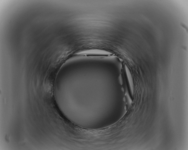 X0000096480031200801311606