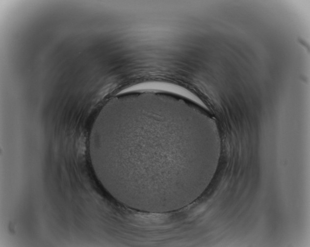 X0000096480032200801311606