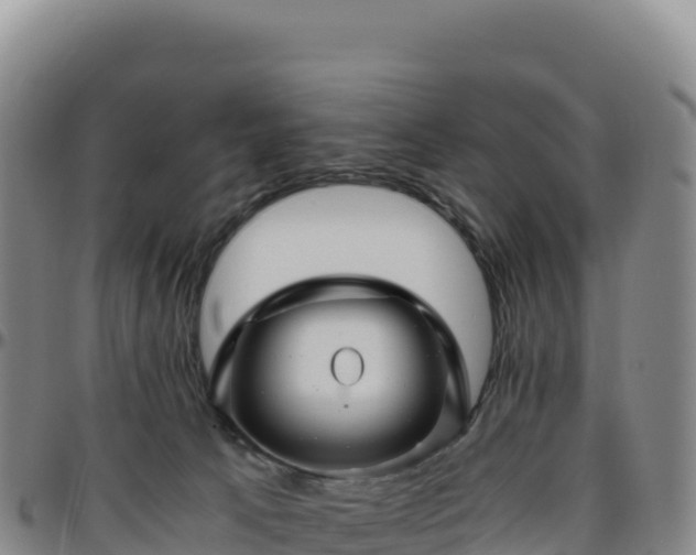 X0000096480033200801311606