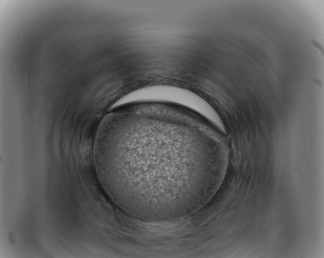 X0000096480034200801311606