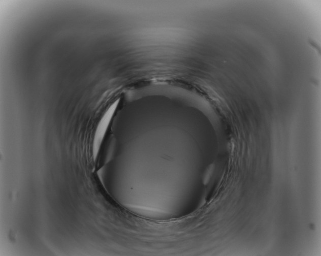 X0000096480035200801311606