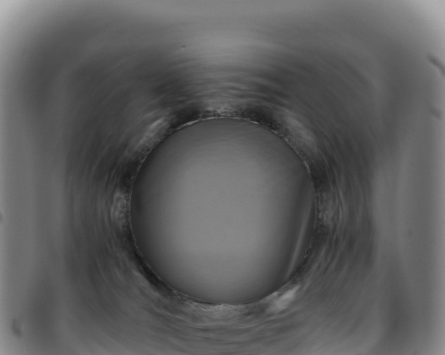 X0000096480036200801311606