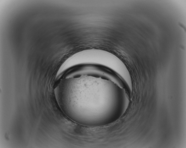 X0000096480037200801311606