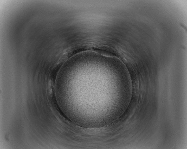 X0000096480038200801311606