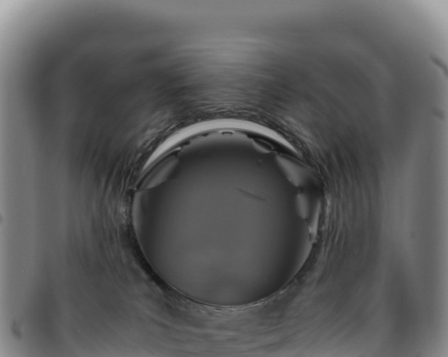 X0000096480039200801311606