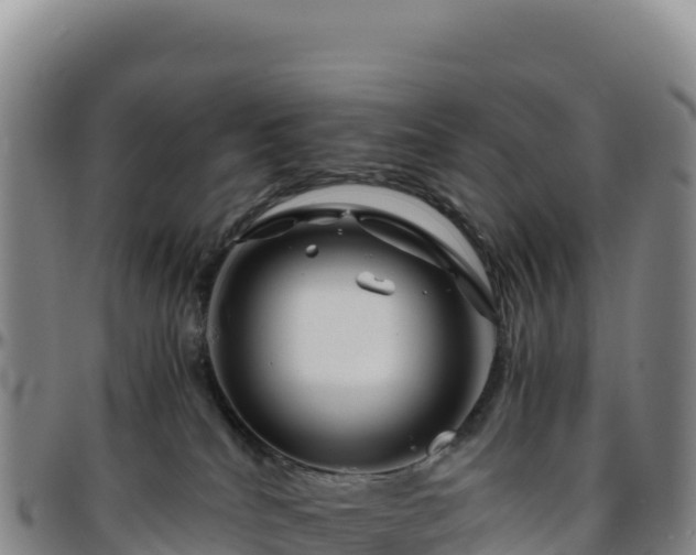 X0000096480040200801311606