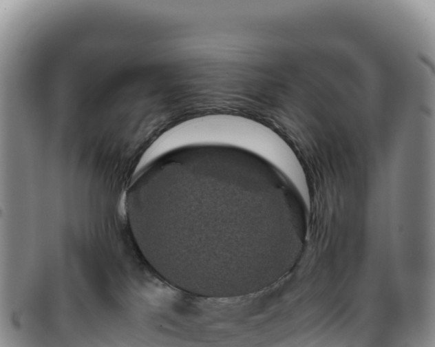 X0000096480041200801311606