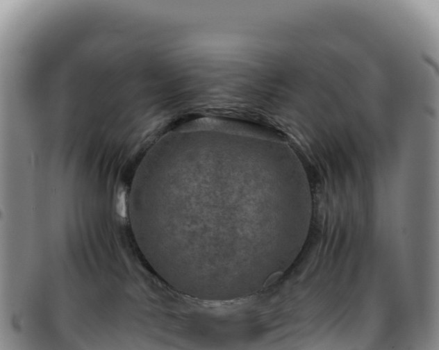 X0000096480042200801311606