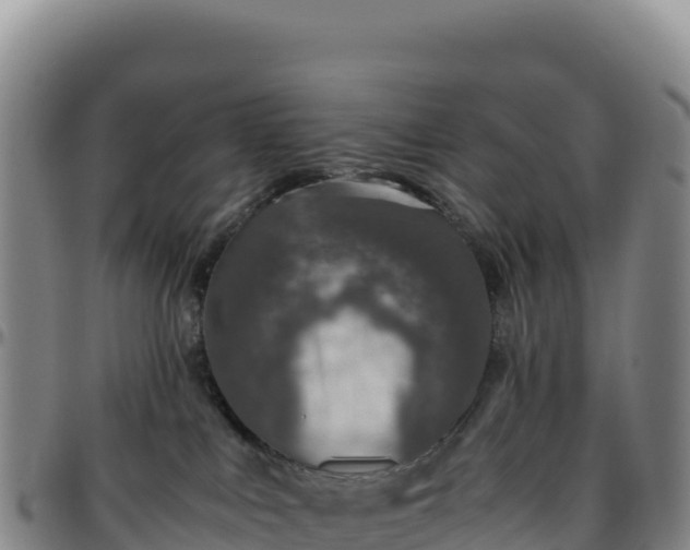 X0000096480043200801311606