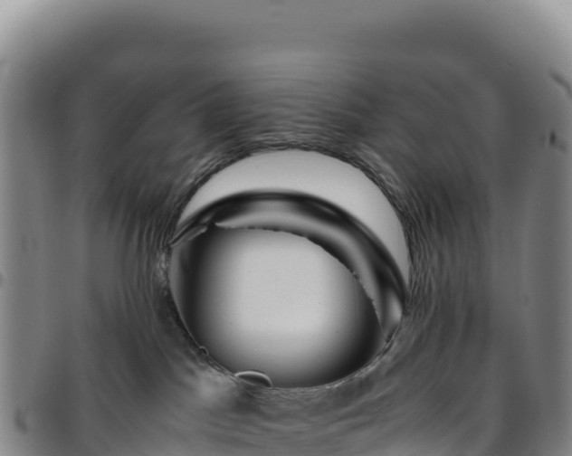 X0000096480045200801311606