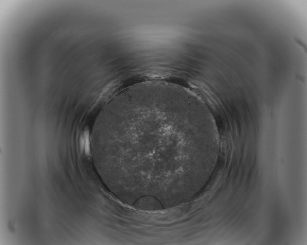 X0000096480046200801311606