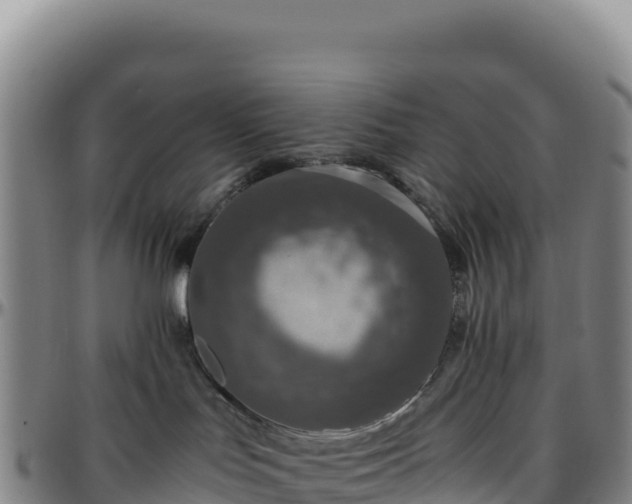 X0000096480047200801311606