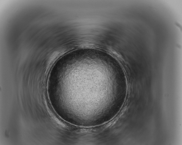 X0000096480049200801311605