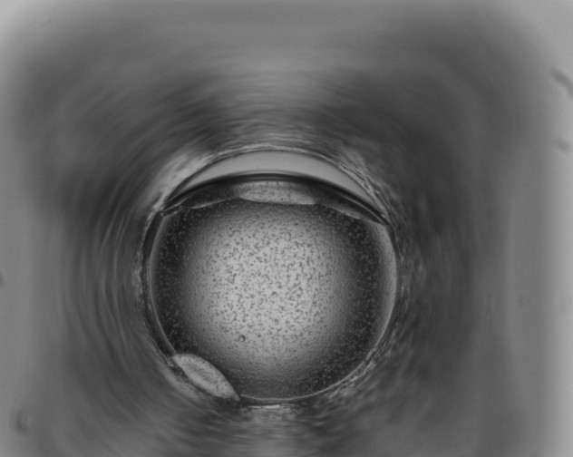 X0000096480050200801311605