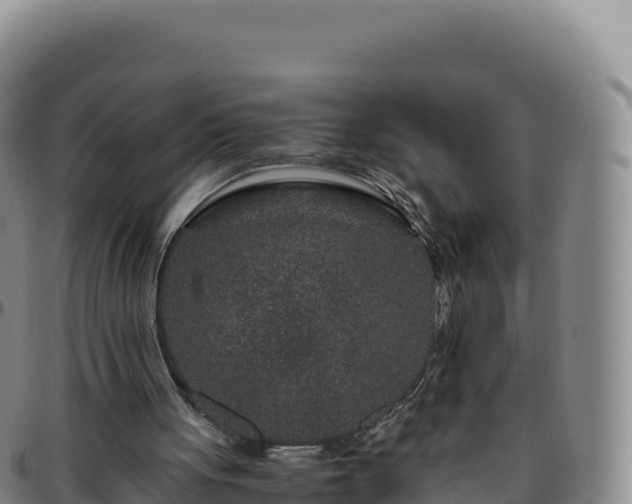 X0000096480051200801311605