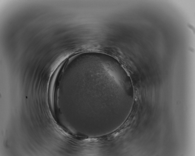 X0000096480052200801311605