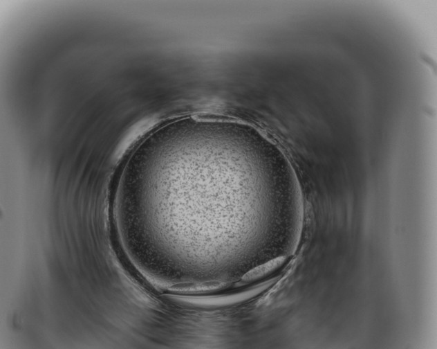 X0000096480054200801311605