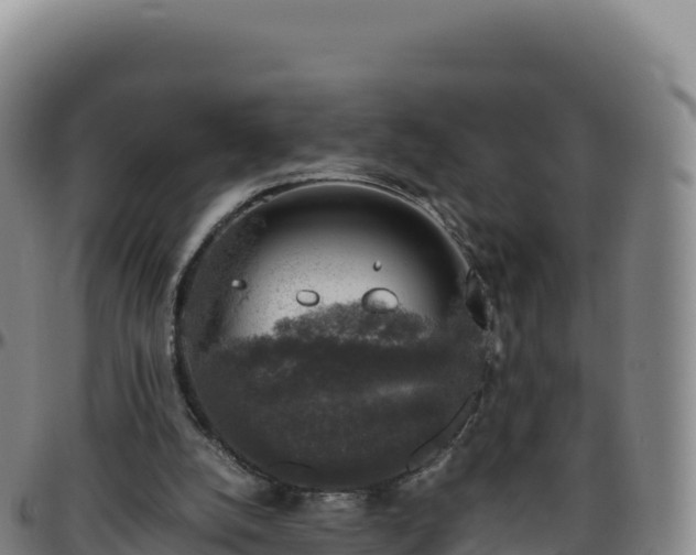 X0000096480056200801311605