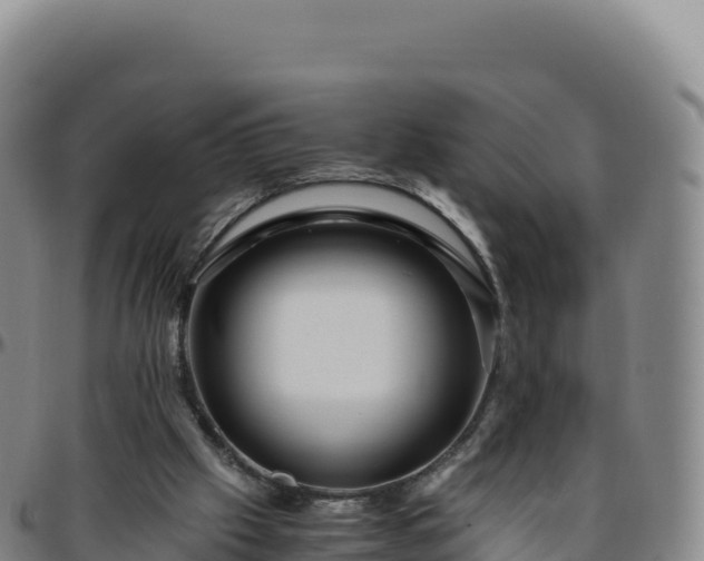 X0000096480057200801311605