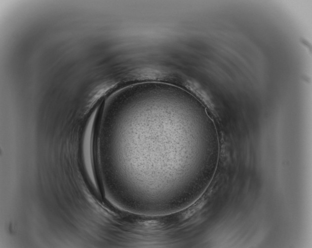 X0000096480058200801311605