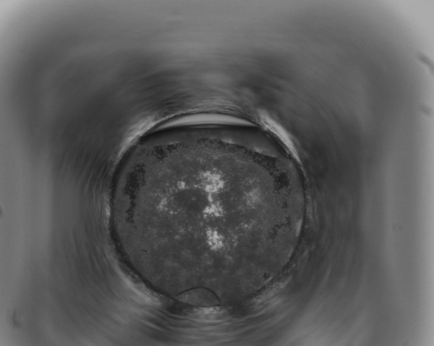 X0000096480059200801311605