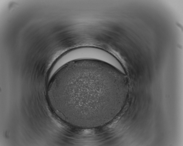 X0000096480060200801311605