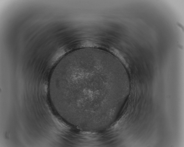 X0000096480063200801311605