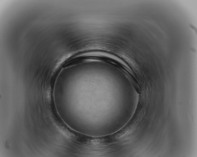 X0000096480064200801311605