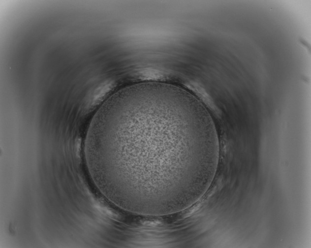 X0000096480066200801311605