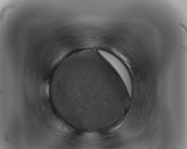 X0000096480067200801311605