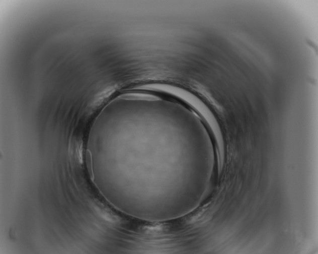 X0000096480068200801311605