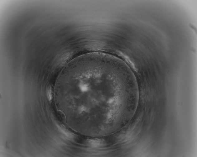 X0000096480069200801311605