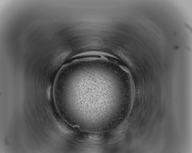 X0000096480070200801311605