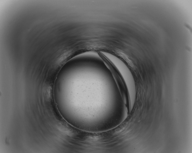 X0000096480071200801311605