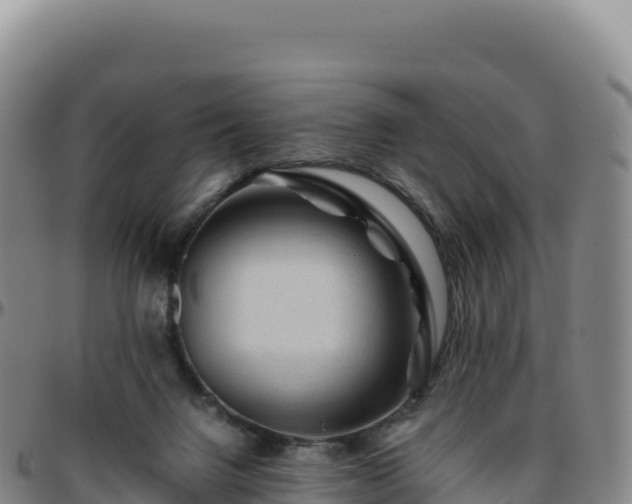 X0000096480072200801311605