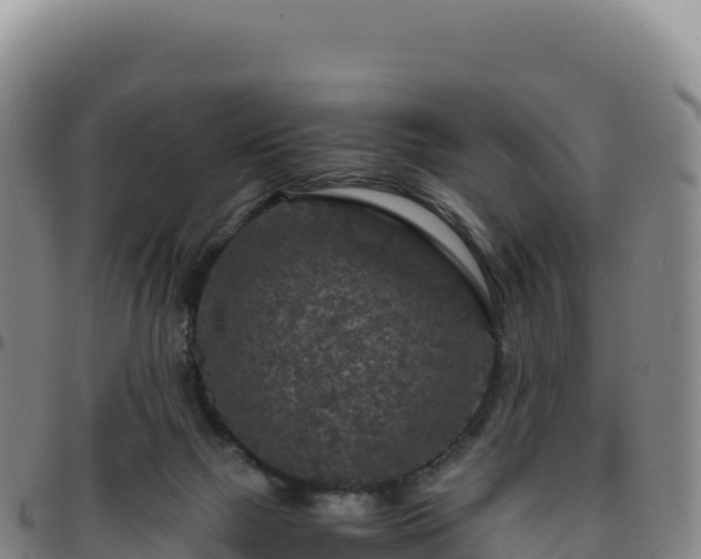 X0000096480073200801311605