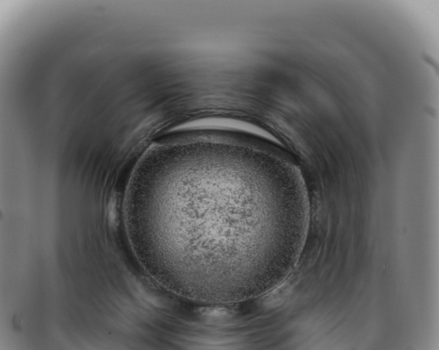 X0000096480074200801311605