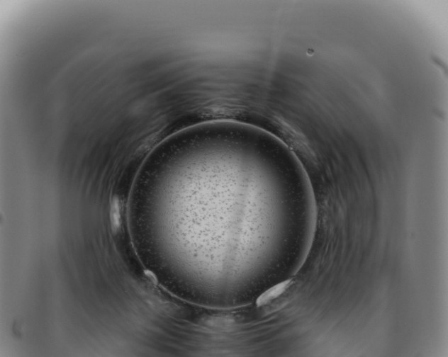 X0000096480075200801311605